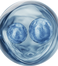 Niacinamide