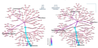 Kelual DS crème apaisante résultats
