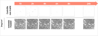 Sunsimed Pigment_résultats cliniques_Rémanence_Image 2