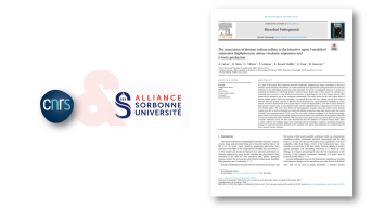 Publication, I-Modulia+, XAD