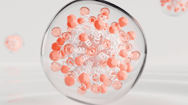 Broussonetia, actif Avène